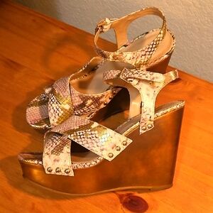 Aldo / Wedges